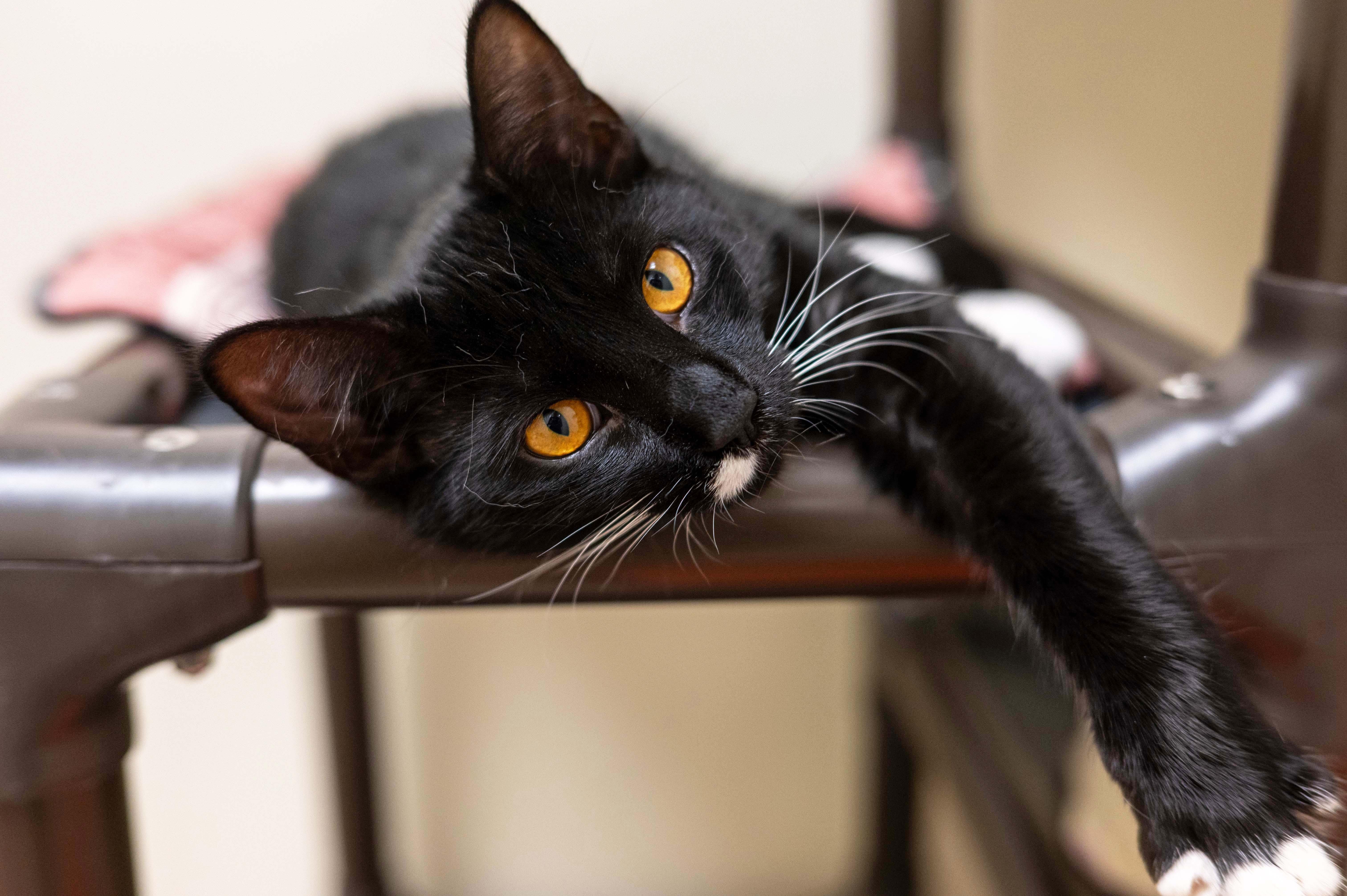 Celeste - SOOOOOO LOVING! 3