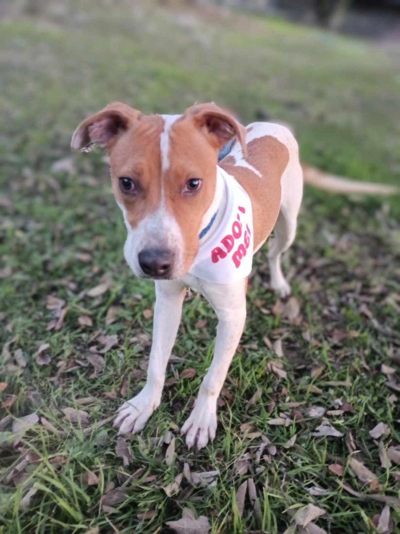 Tamara — thumbnail 2