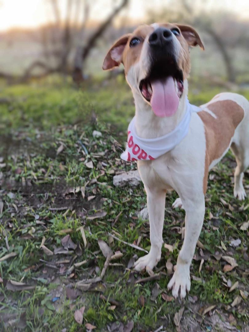 Tamara — thumbnail 3