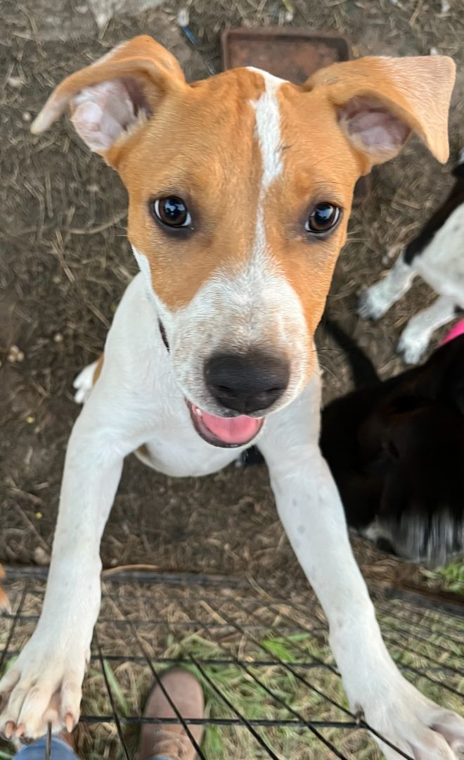 Tamara — thumbnail 4