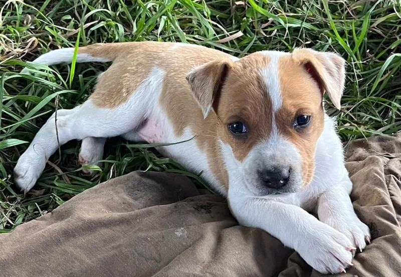 Tamara — thumbnail 5