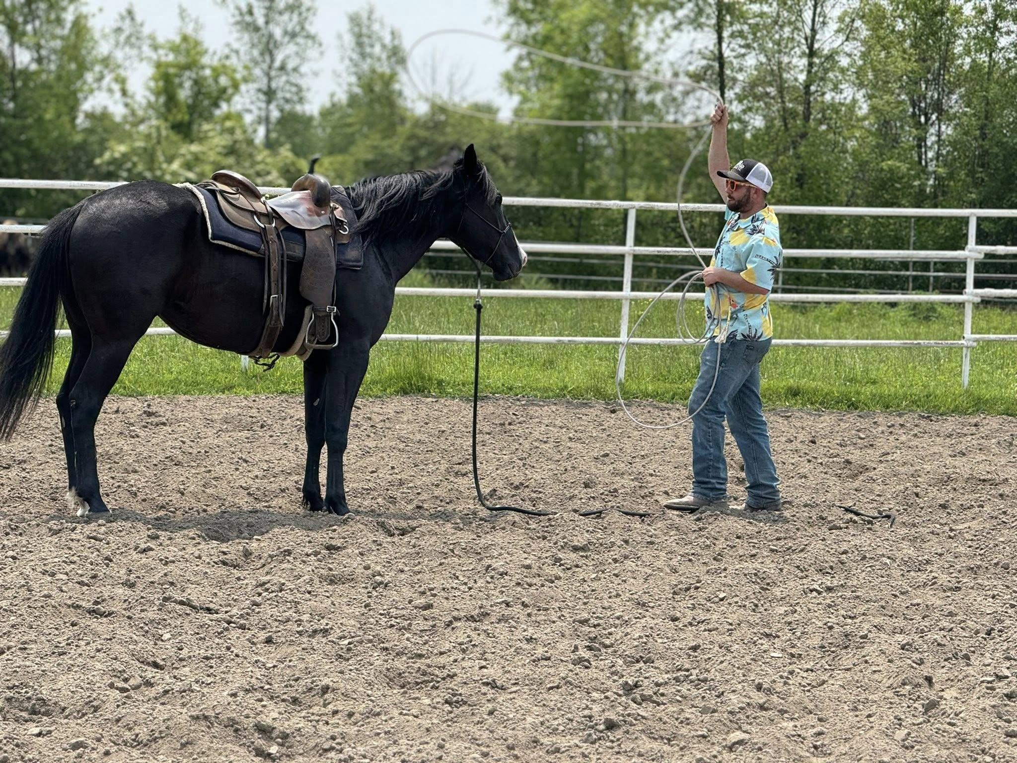 Enlarge SELA -  365 Division, a Adoptable mixed breed in Huntington, WV image 2/6