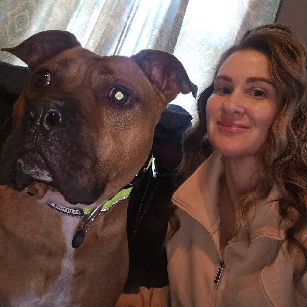 Enlarge Champs, a Adoptable mixed breed in Allen, TX image 4/6