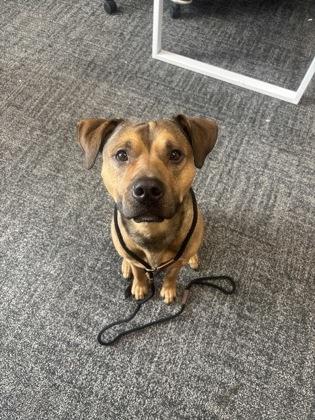 Paul — thumbnail 2