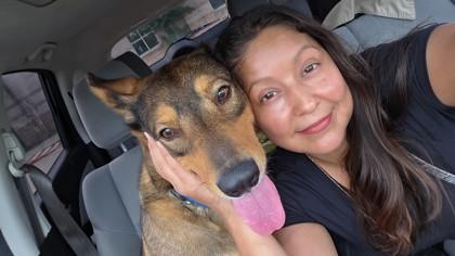 Honey FOSTER, a Adoptable mixed breed in Houston, TX image 3/3