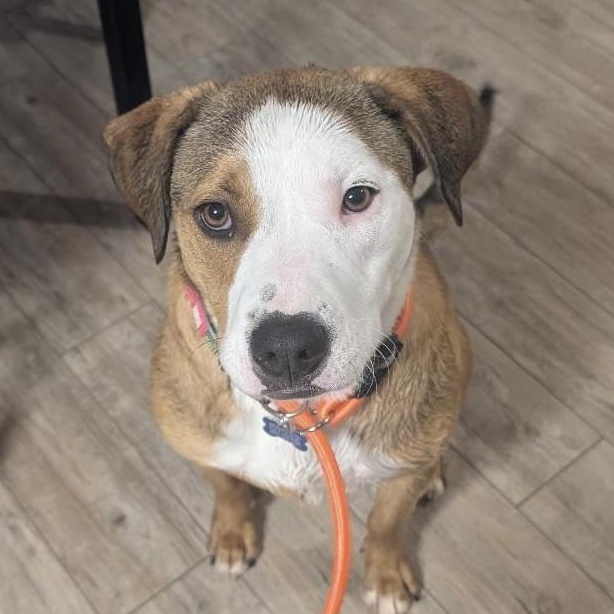 Krueger — thumbnail 2