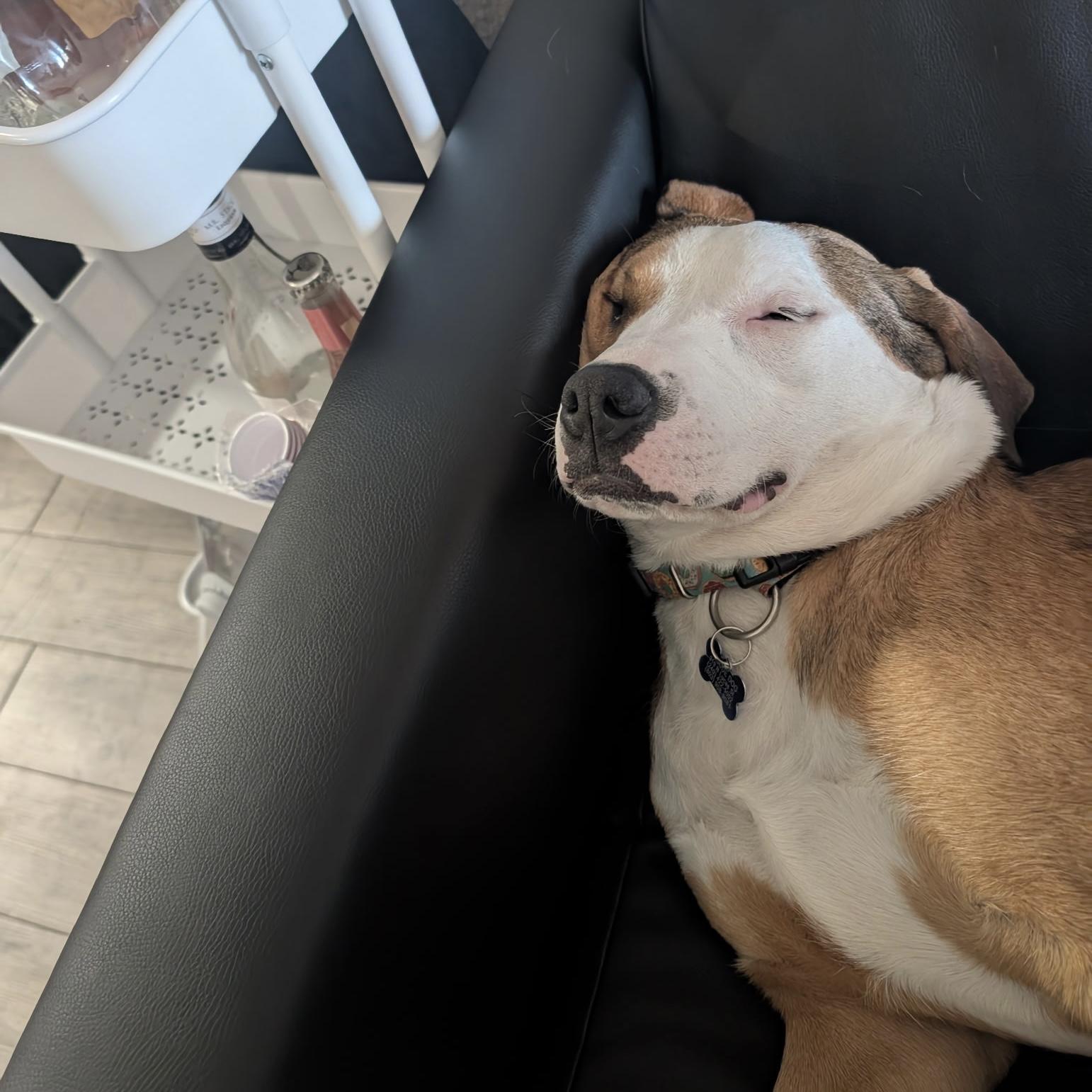 Krueger — thumbnail 5