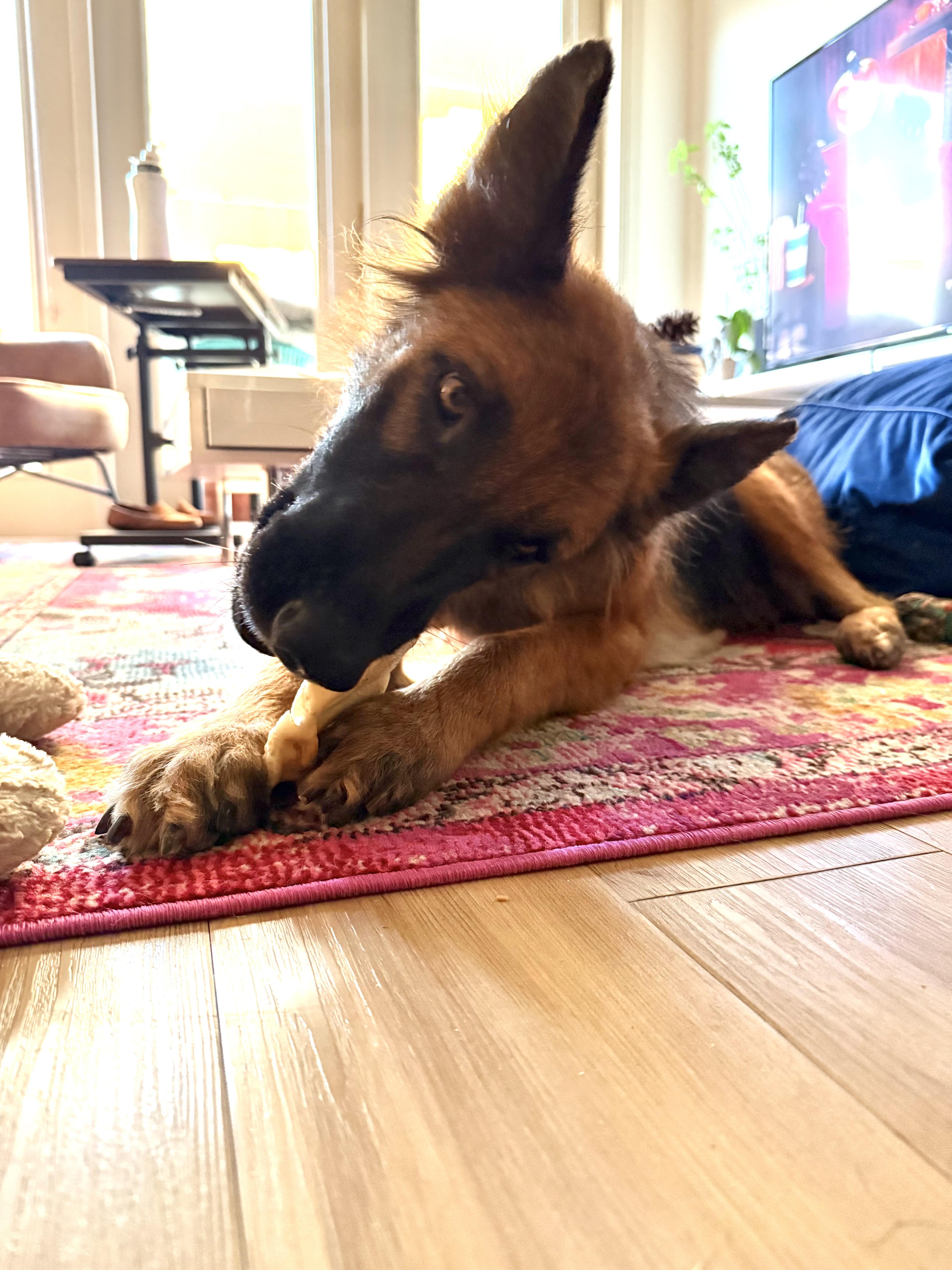 Skakira — thumbnail 4