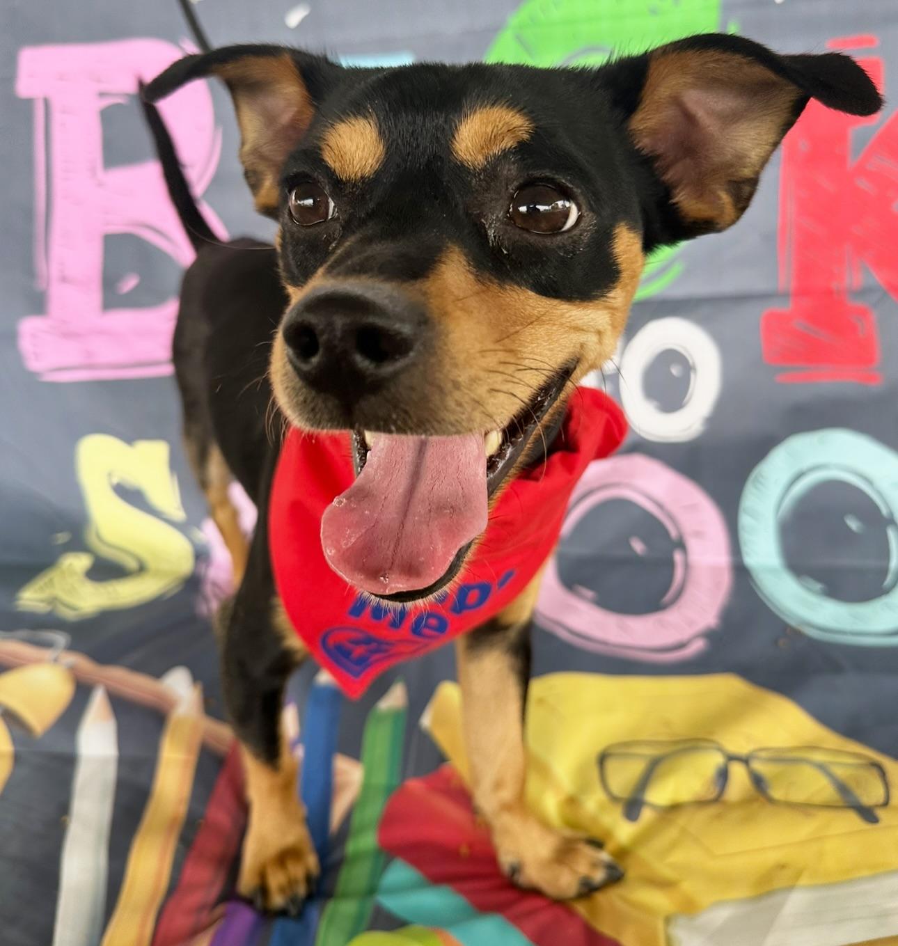 Roscoe