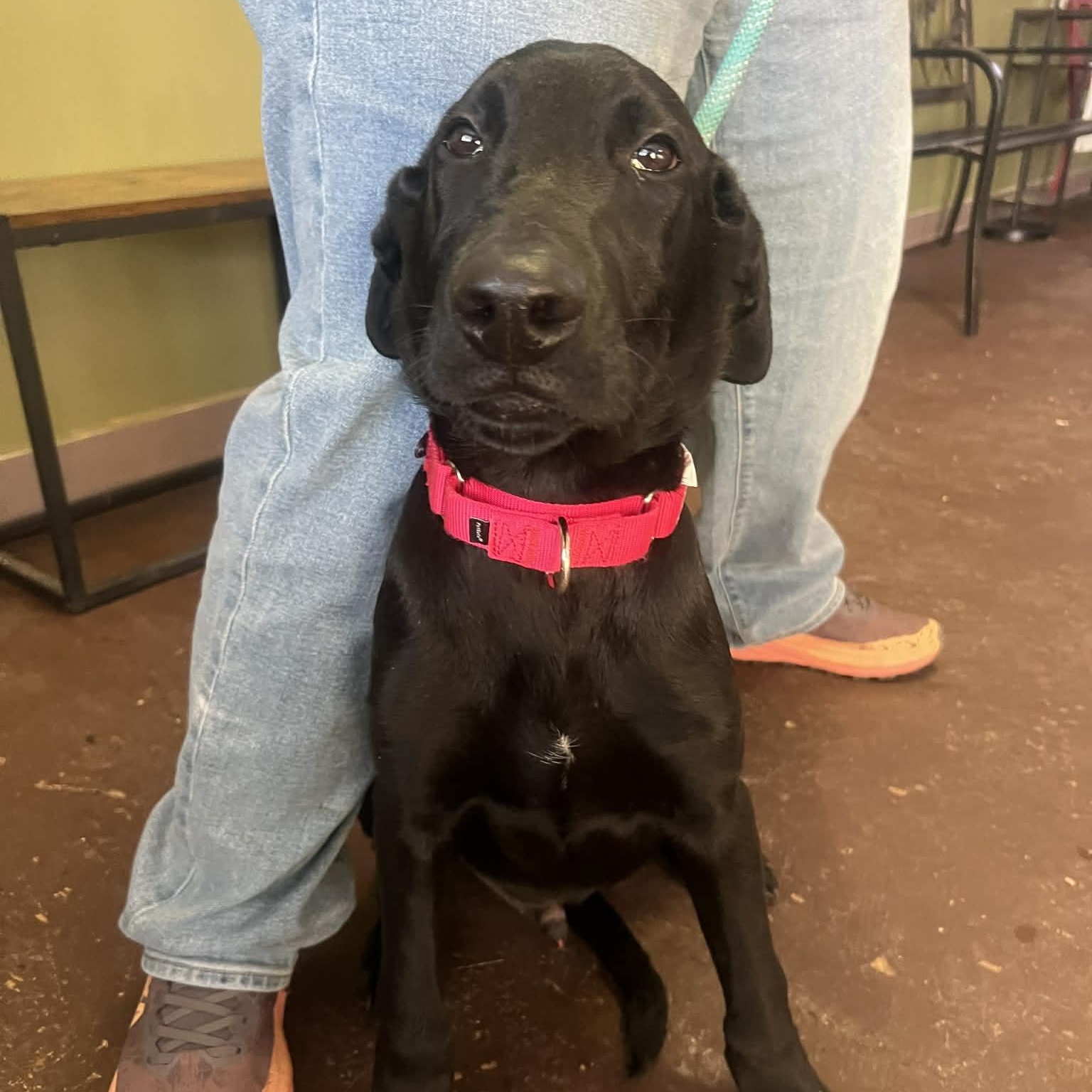 Jack Sparrow thumbnail 3