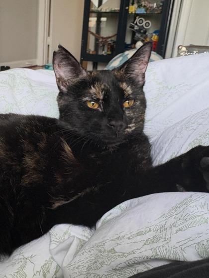 Minnie — thumbnail 2