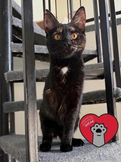 Minnie — thumbnail 3