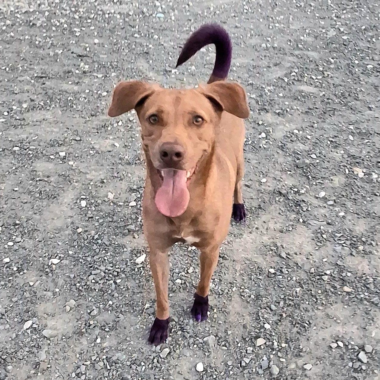 Sissi "your One To thumbnail 2