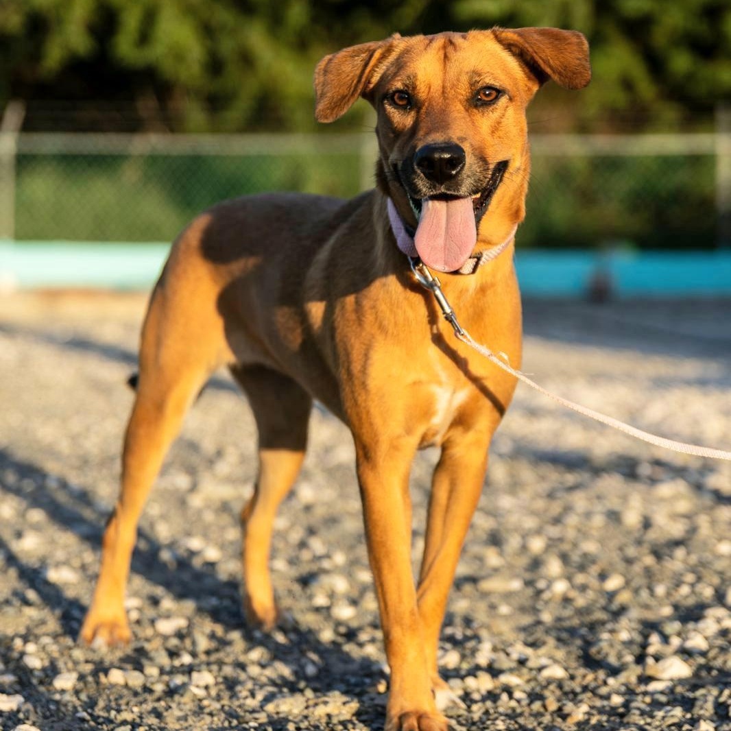 Sissi "your One To thumbnail 4