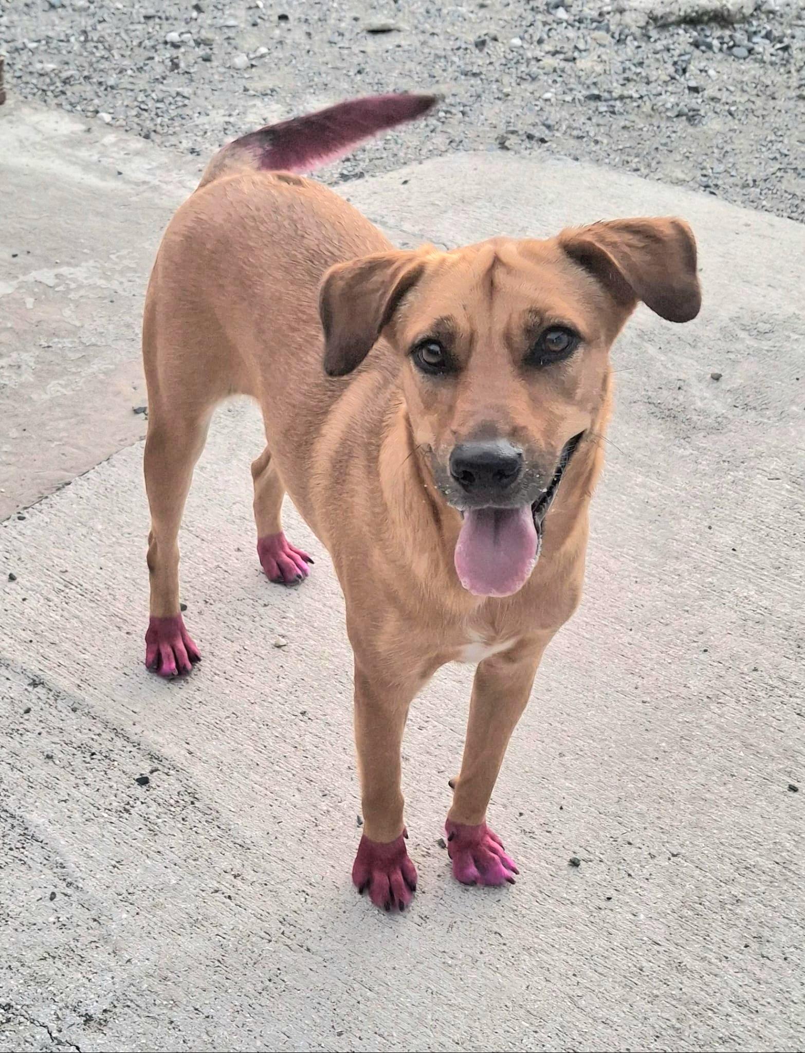 Sissi "your One To thumbnail 5