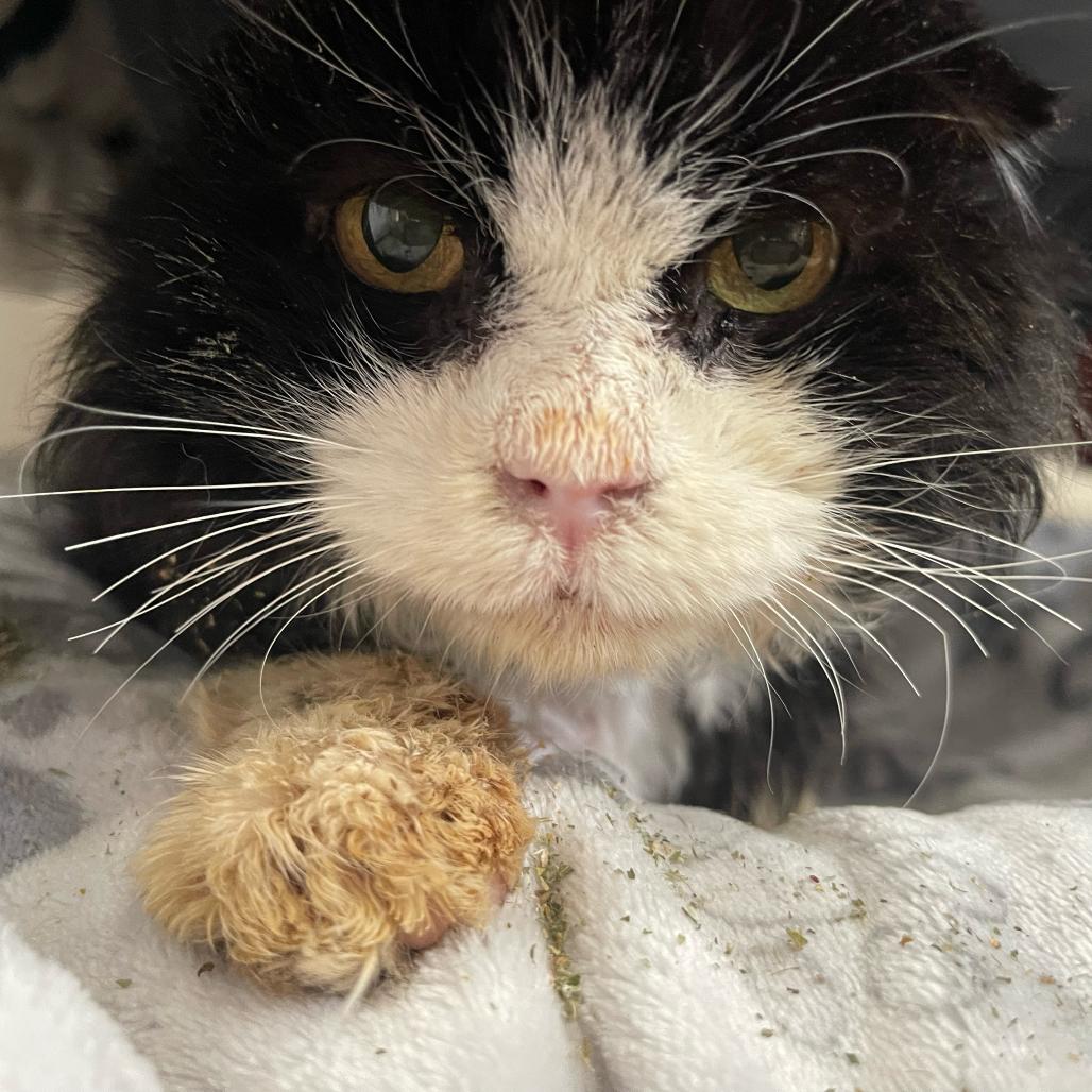 Righty Tighty — thumbnail 2