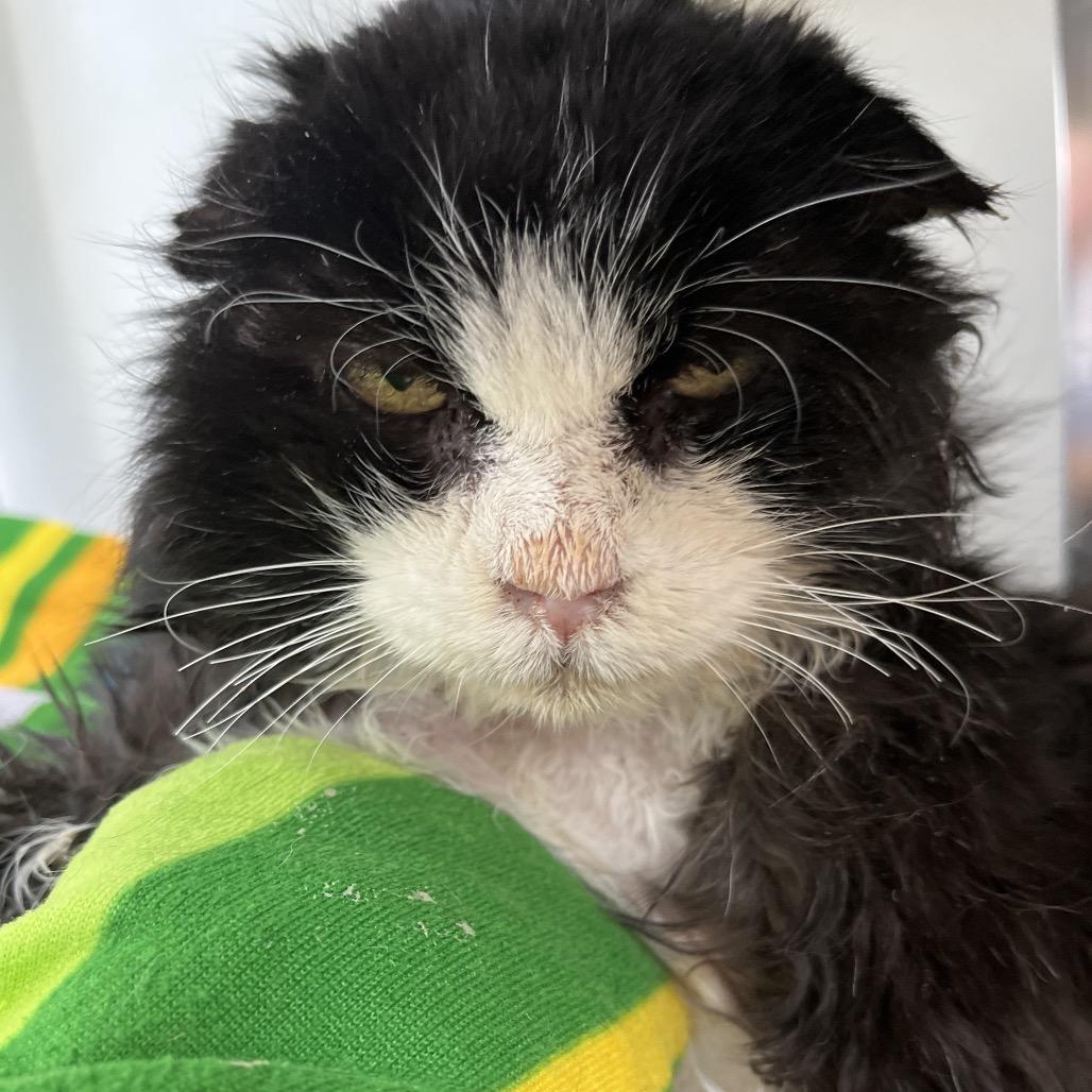 Righty Tighty — thumbnail 4