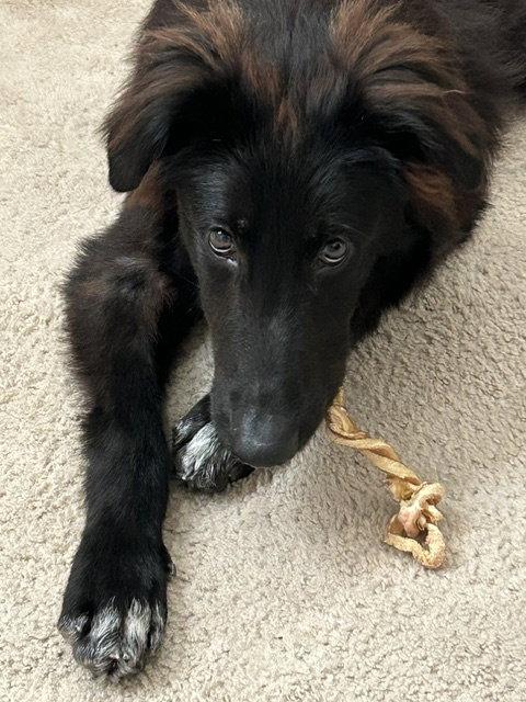 Tucker photo