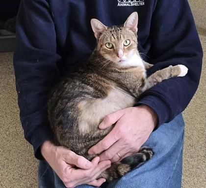 M.A.C. — thumbnail 5