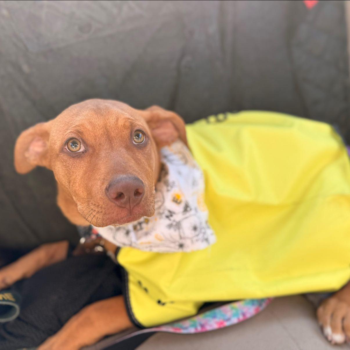 Bernadette thumbnail 2