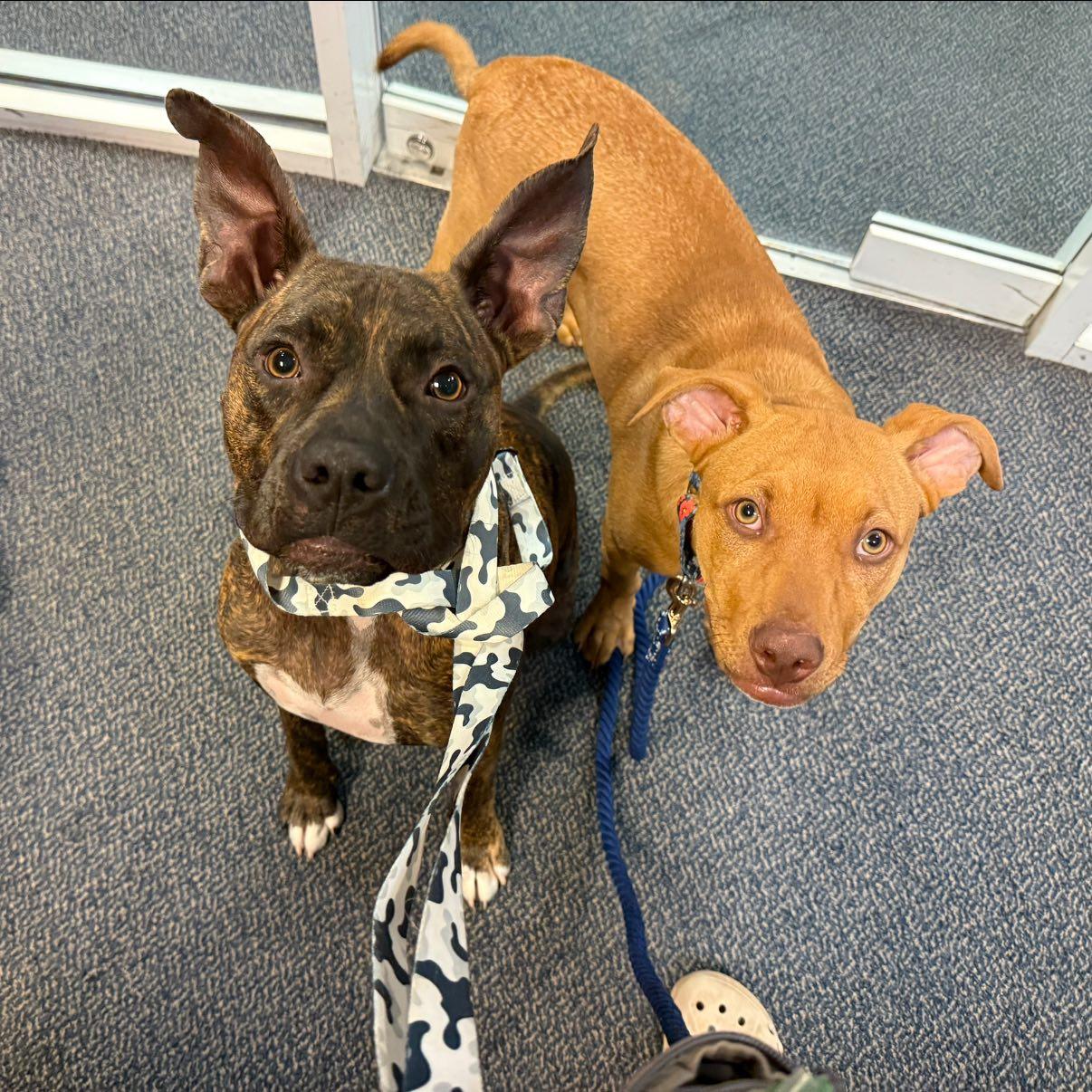 Bernadette thumbnail 3