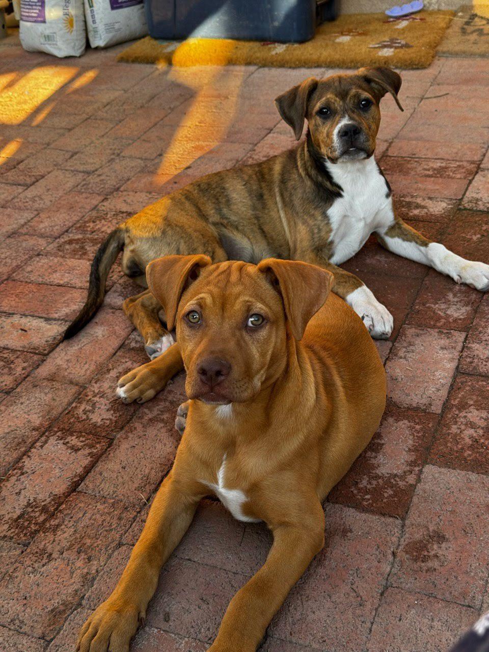 Bernadette thumbnail 4