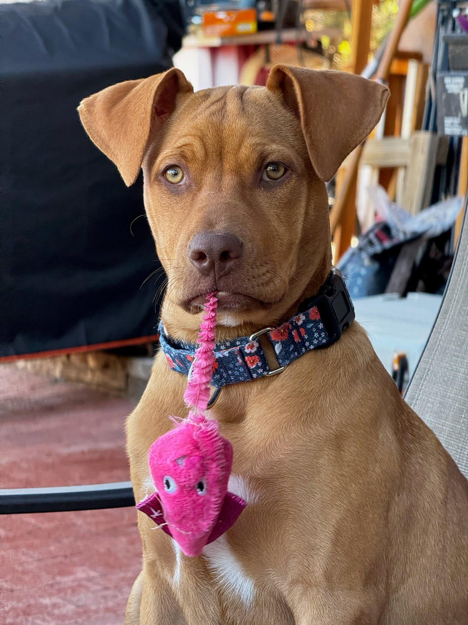 Bernadette thumbnail 5