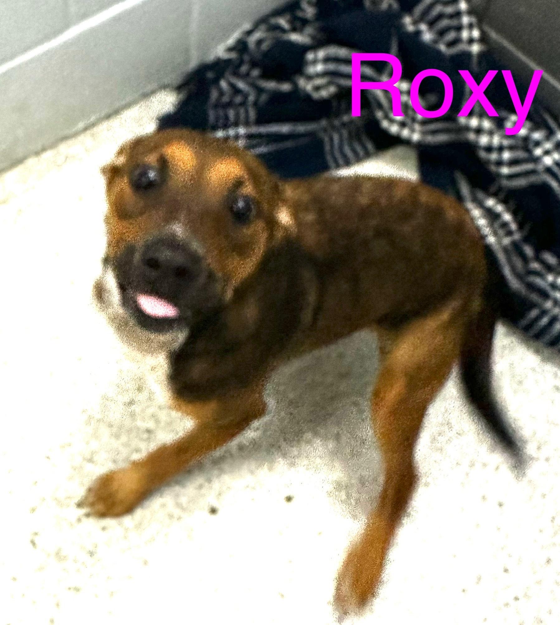 Roxy