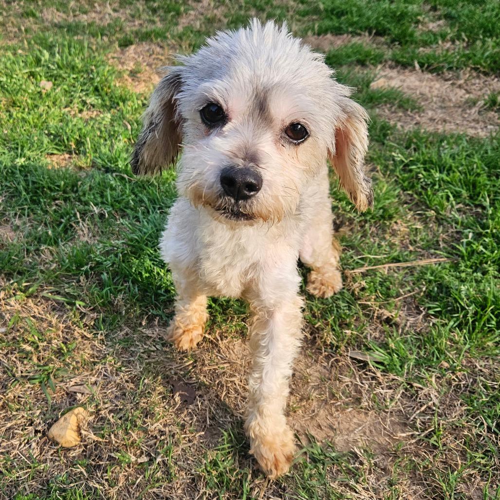 Mia Gutierez — thumbnail 2