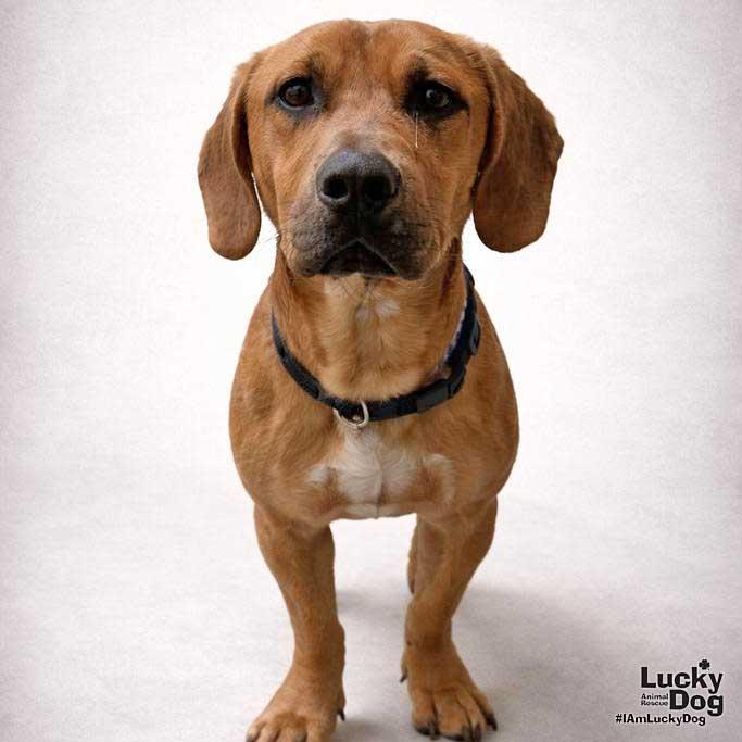 Silas Jr thumbnail 2