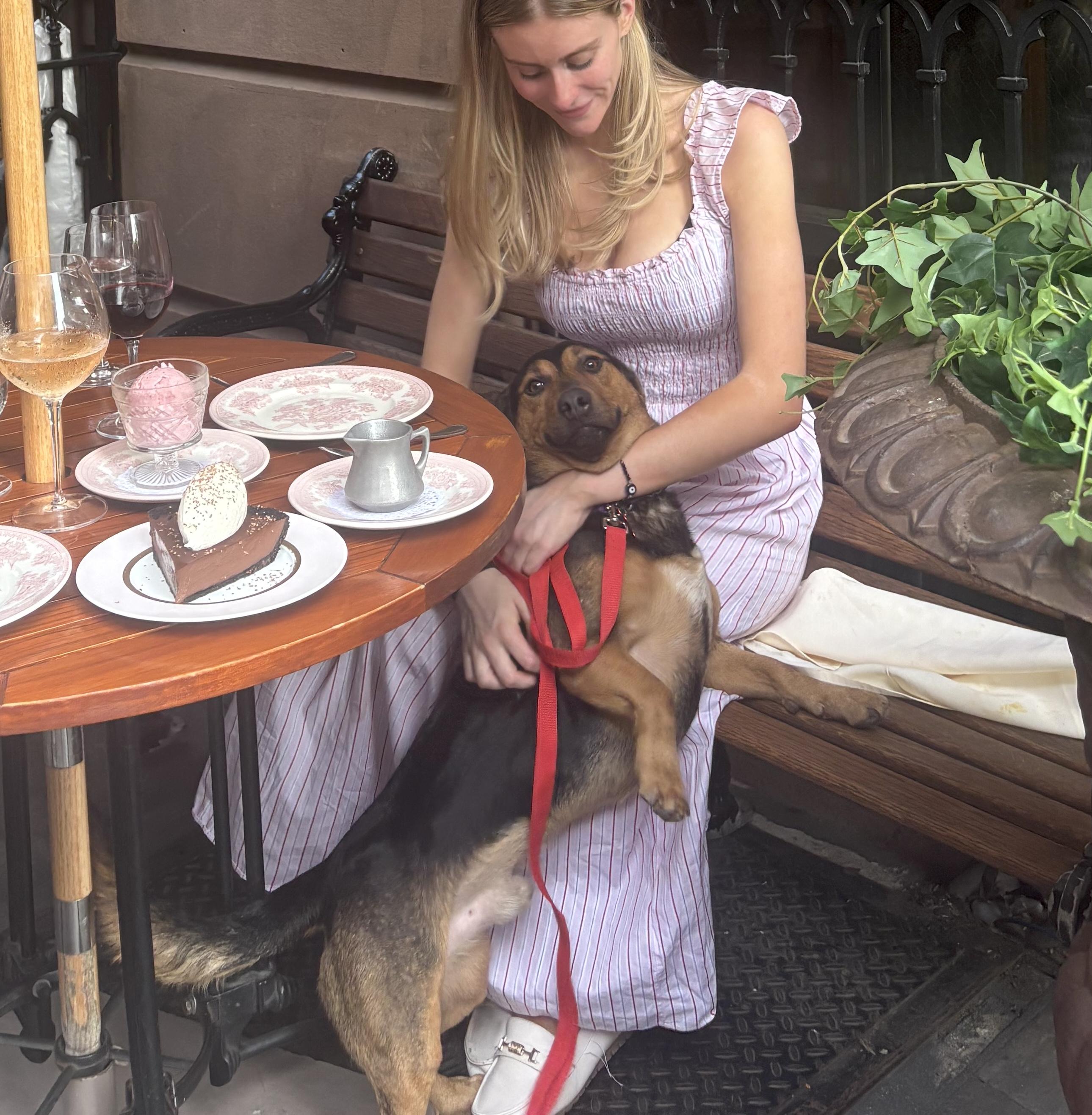Cruz, an adopted mixed breed in Brooklyn, NY image 5/6