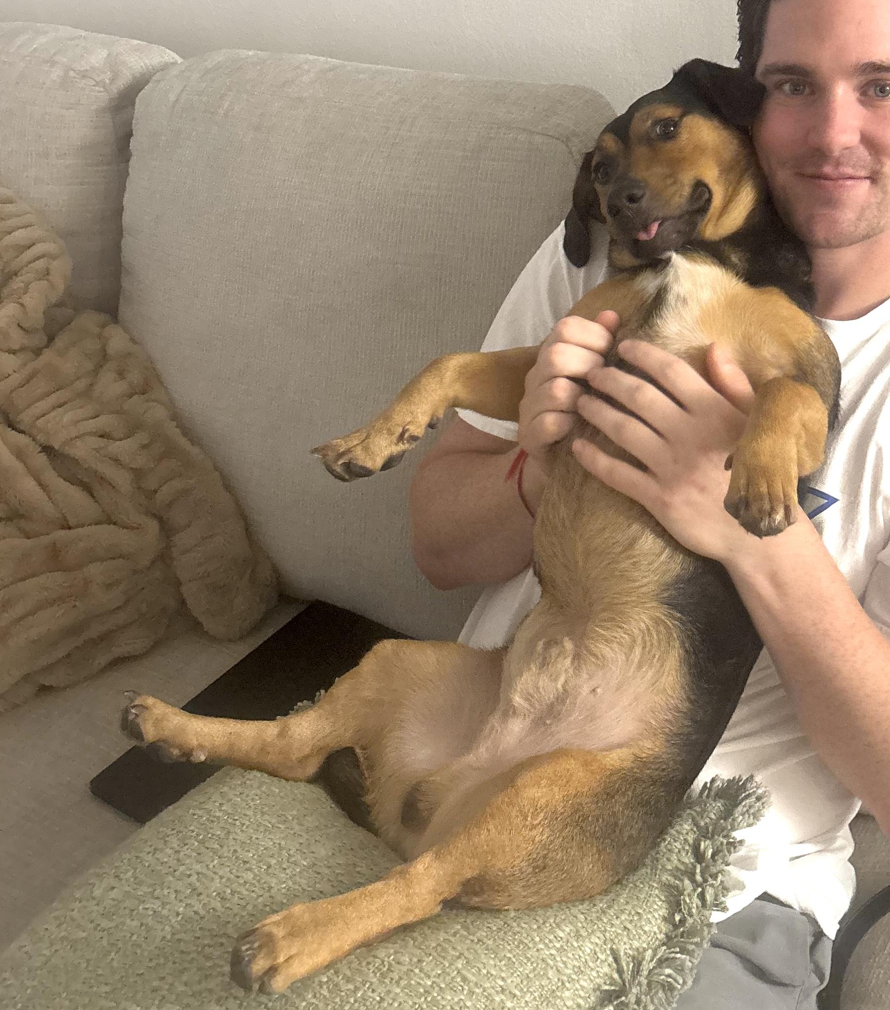 Cruz, an adopted mixed breed in Brooklyn, NY image 3/6