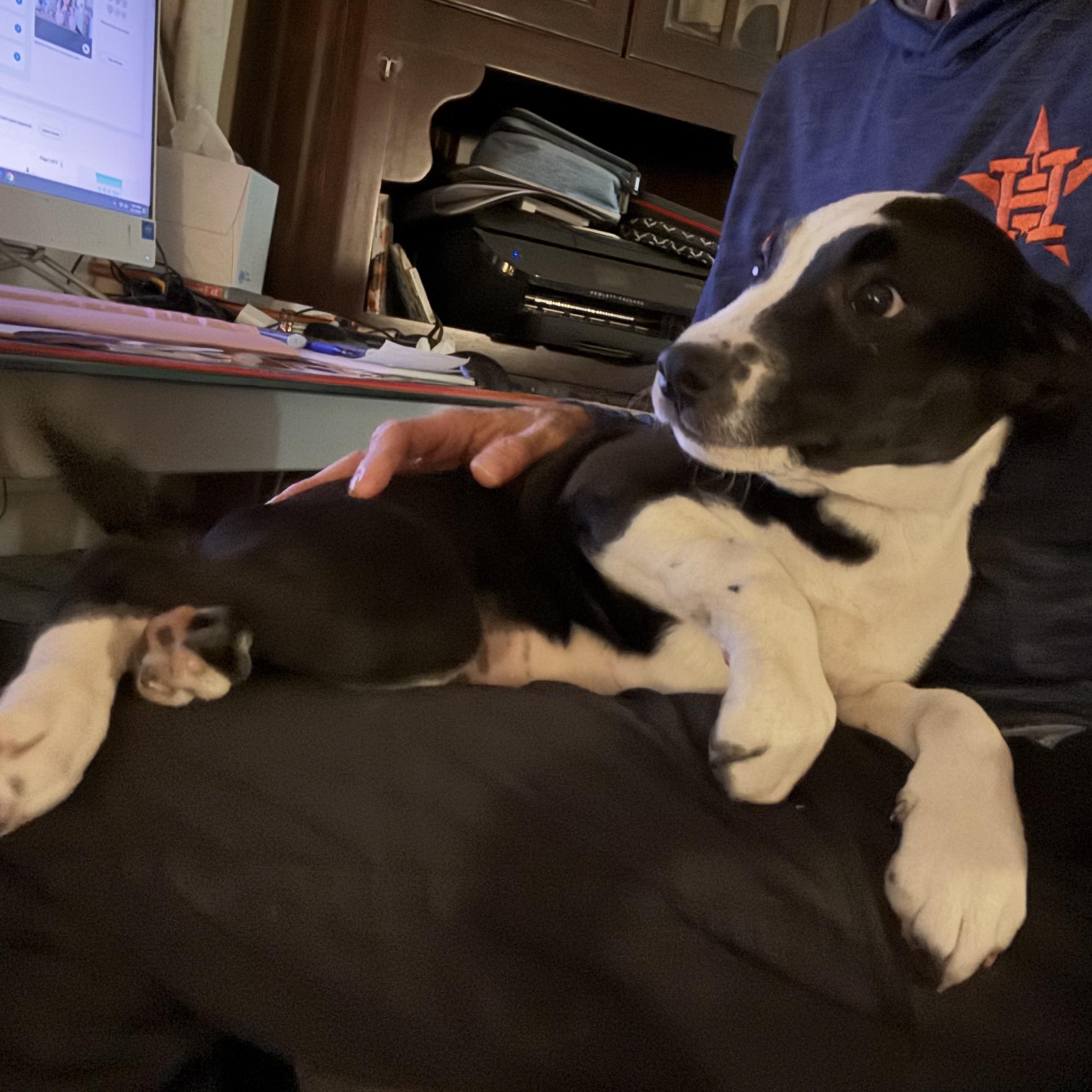 Eclipse — thumbnail 2