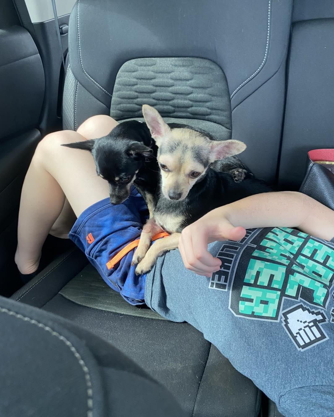 Little Bit & Precious (Bonded) photo 1