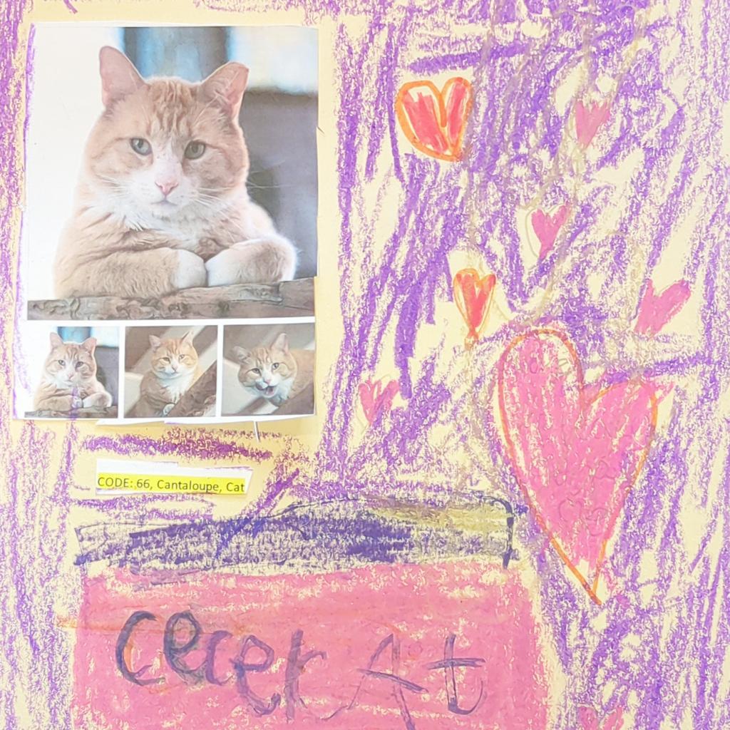 Cantaloupe — thumbnail 4