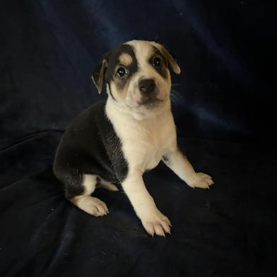 Yuki — thumbnail 2