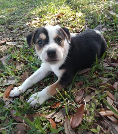 Yuki — thumbnail 4