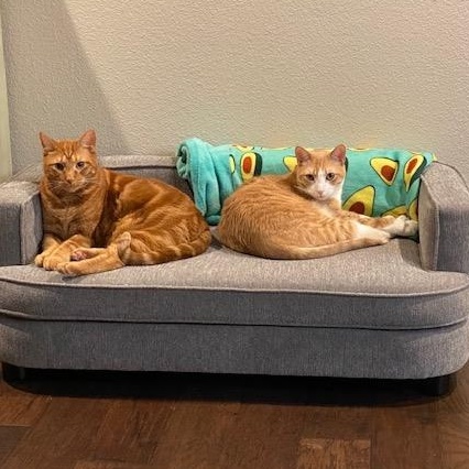 Cream and Colby - RF FH — thumbnail 6