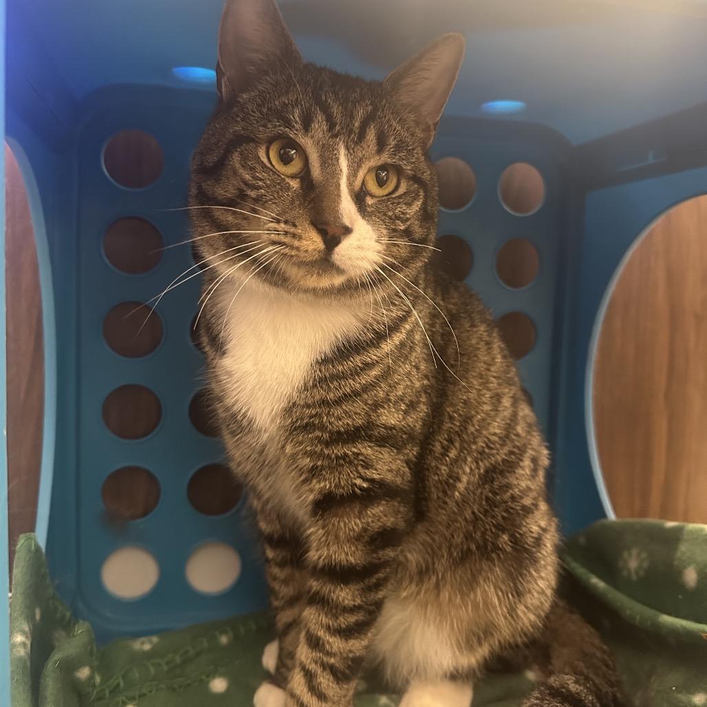 Myles — thumbnail 2