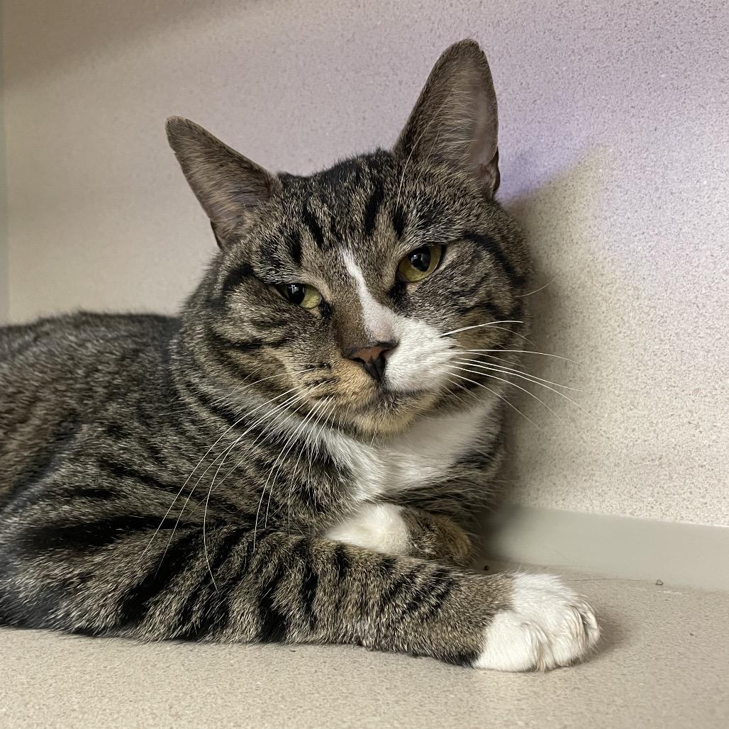 Myles — thumbnail 3