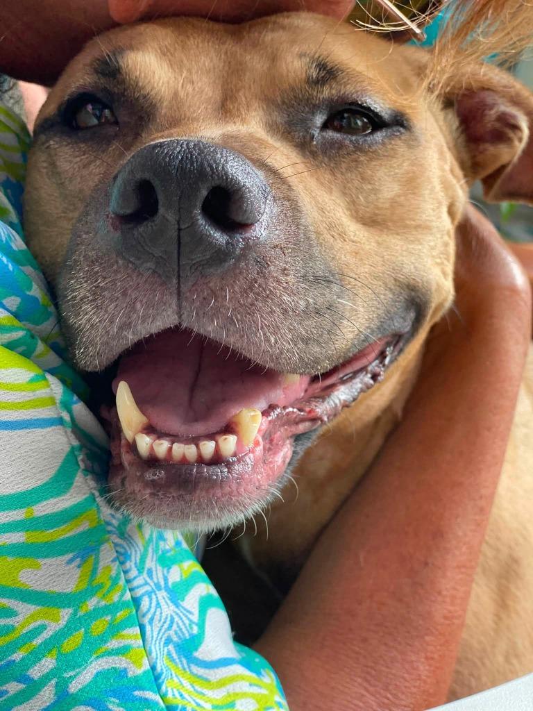 Gigi photo