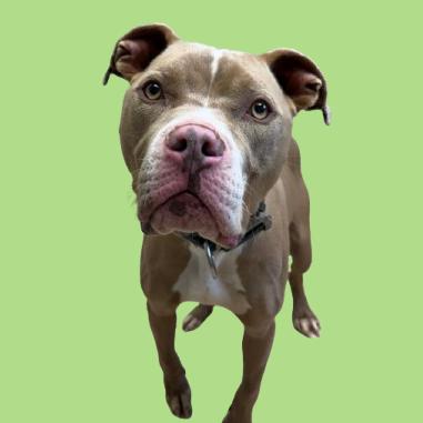 Hayden — thumbnail 3