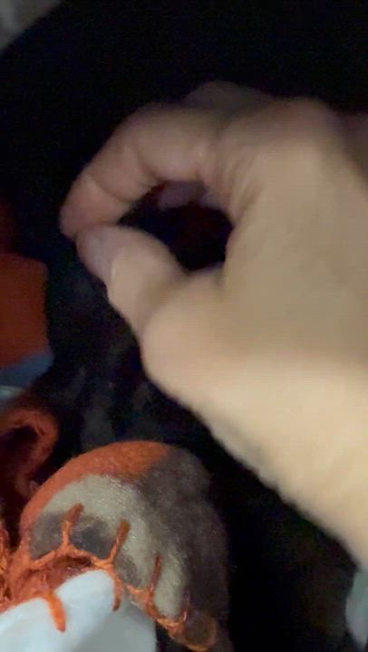 Enlarge Salem, an adoptable Domestic Medium Hair in Collierville, TN video 4/6