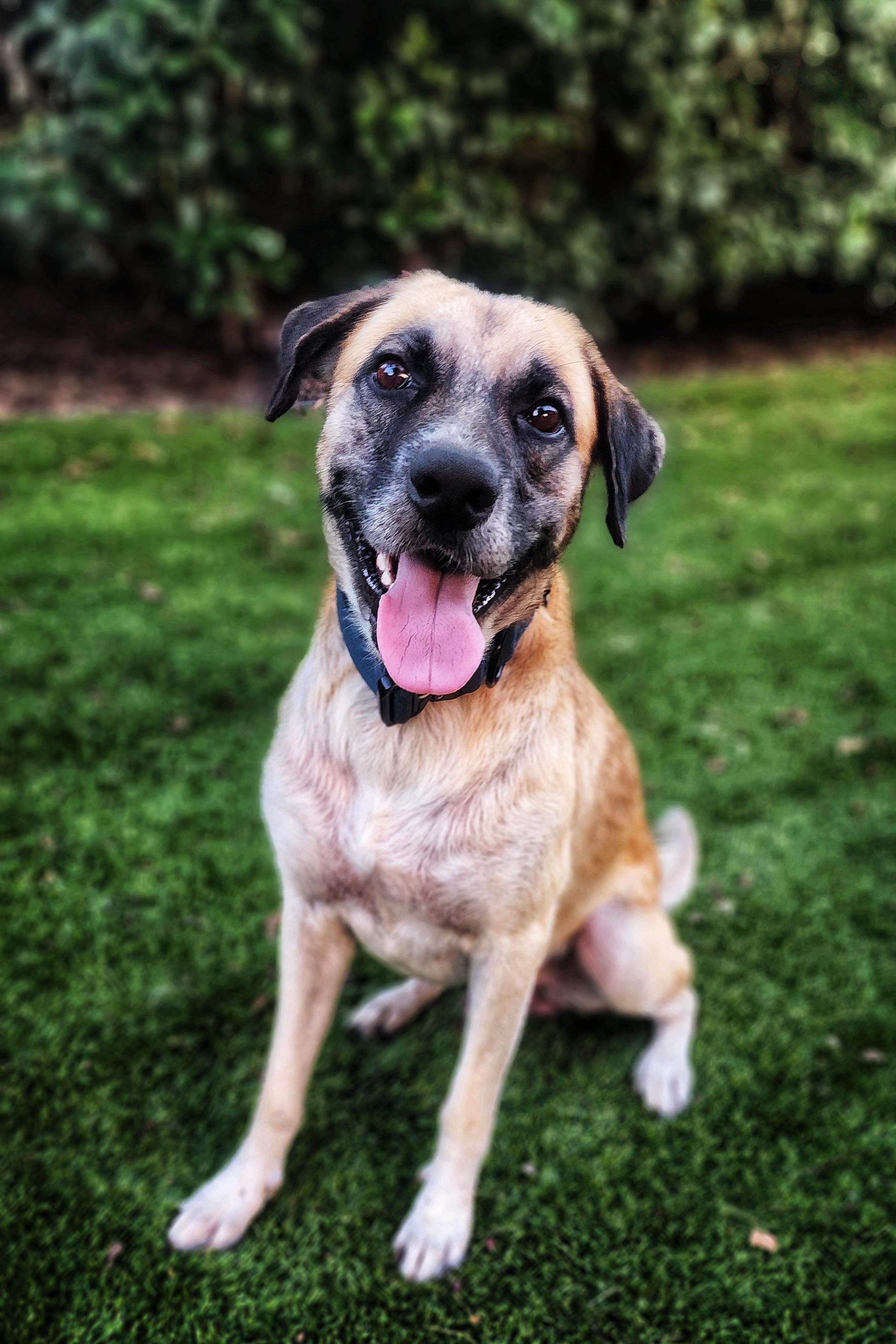 Winn-Dixie (Aka Winn)