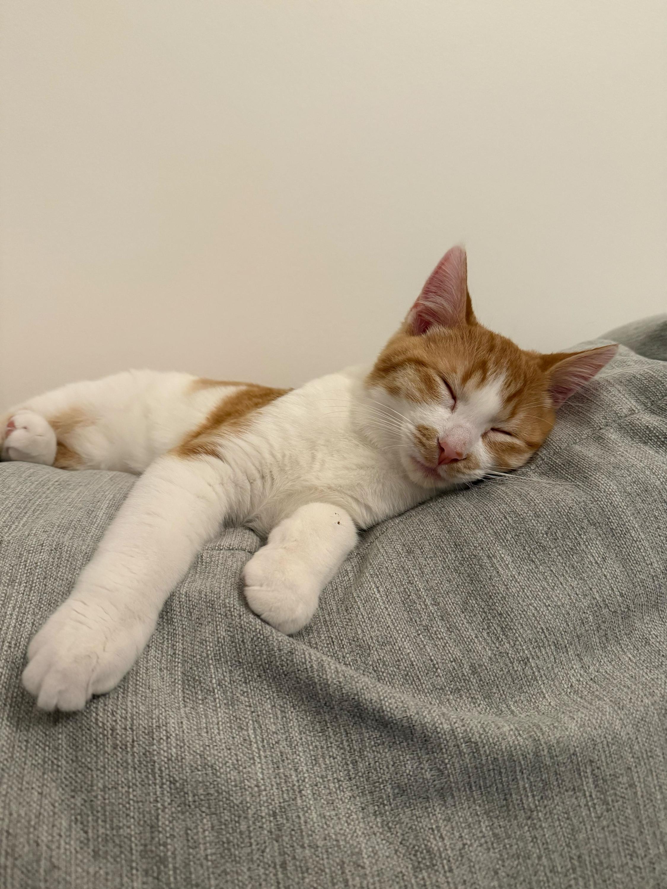 Rory And Geillis thumbnail 5