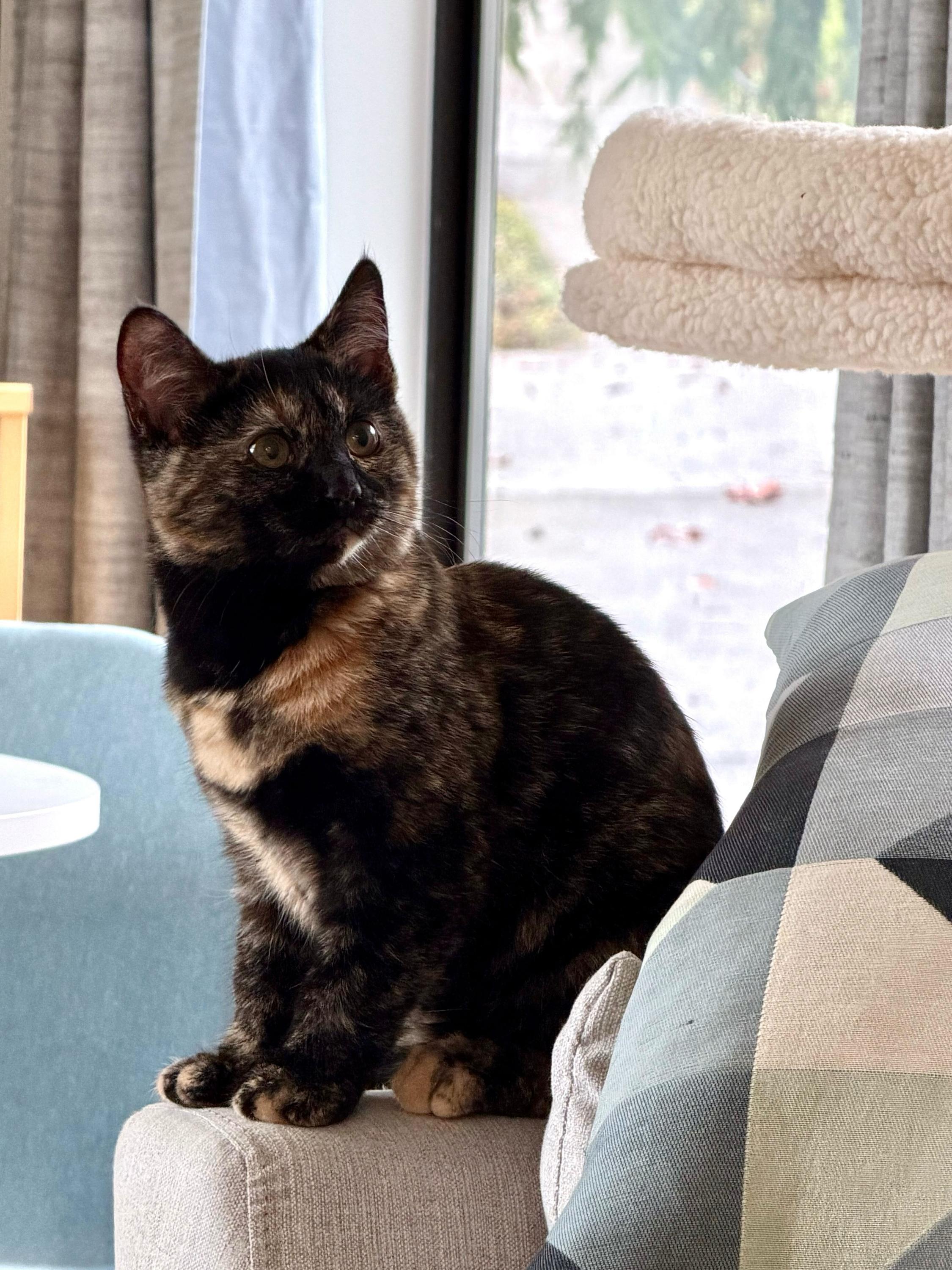 Rory And Geillis thumbnail 4