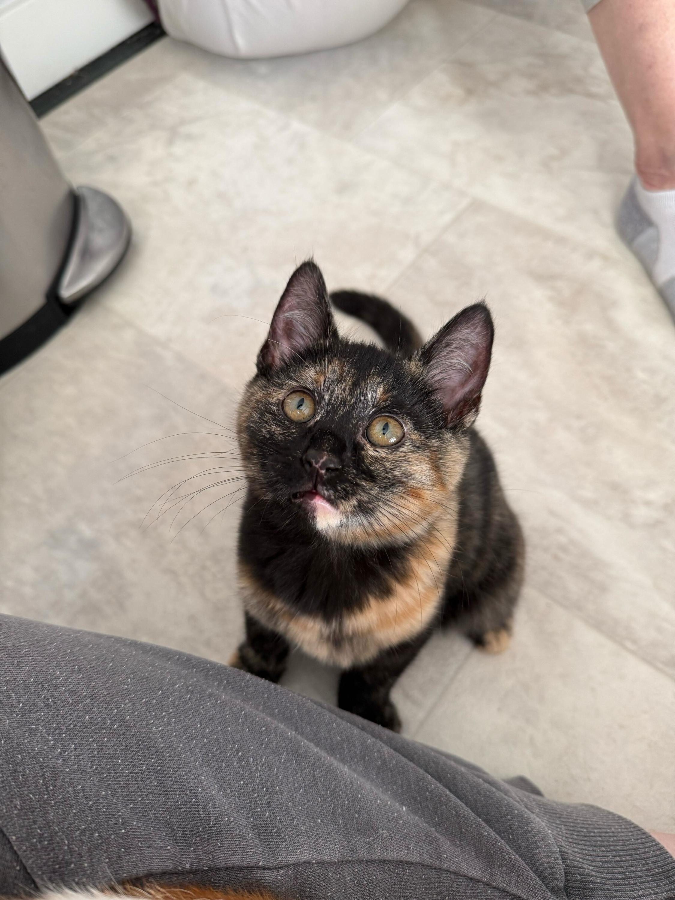 Rory And Geillis thumbnail 3