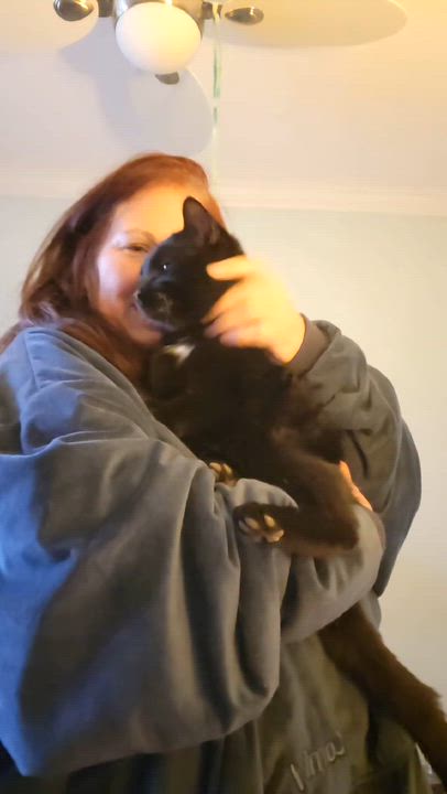 Enlarge Bronco (m) 3yrs old Black Bombay , a ADOPTABLE Domestic Short Hair in Ottawa, ON video 4/6