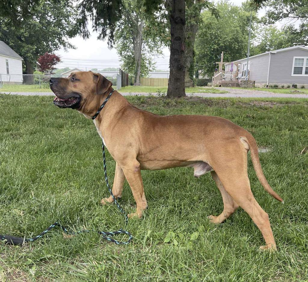 Tommy (in a FOSTER home) 2