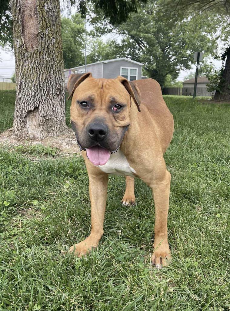 Tommy (in a FOSTER home)